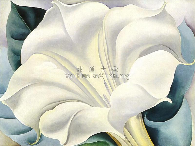 White Trumpet Flower - 乔治亚·奥基夫
